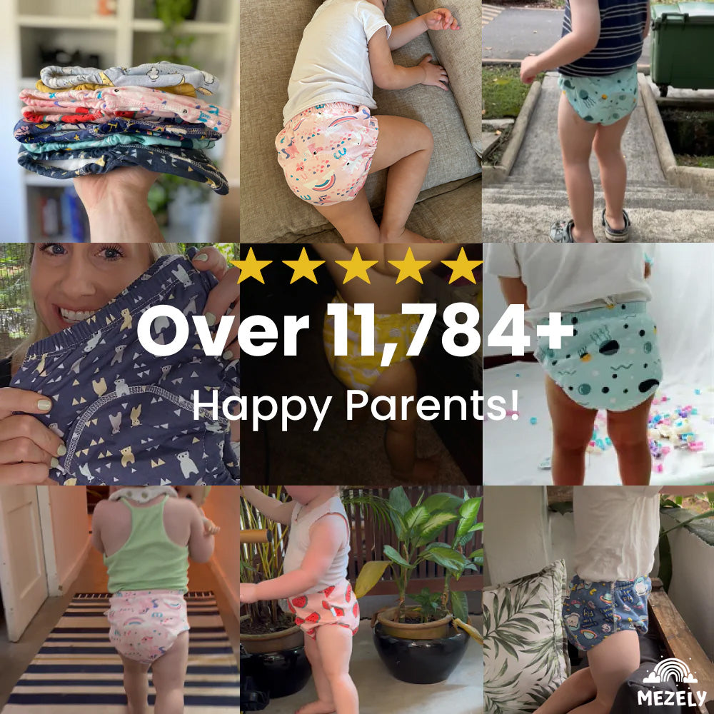 Potty Training Pants (Sale)