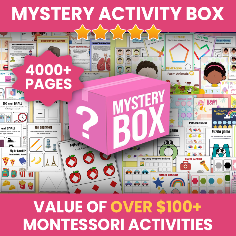 Mystery Activity Box ($100+ VALUE)
