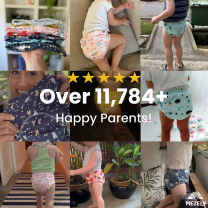 Potty Training Pants (Sale)
