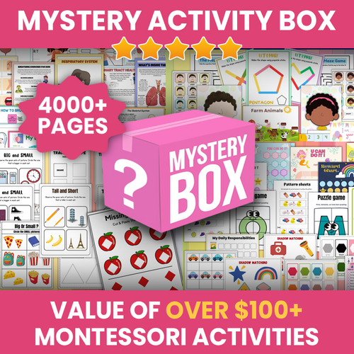 Mystery Activity Box [$100+ VALUE]